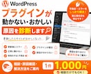 WordPressプラグインの不具合を診断します 更新後のエラーや不具合の原因を確認します イメージ1