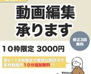 10枠限定！YouTube等の動画編集承ります 丁寧なコミュニケーションで理想の動画作成いたします！ イメージ1