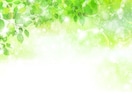 あなたの悩みを一緒に整理します 答えを押しつけず、あなた自身の答えを探します イメージ1