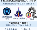 黒龍魂共鳴スキャンで覚醒度数値化レポート作成します 覚醒度数値診断入門体験　黒龍独自測定法で潜在能力を見える化 イメージ7