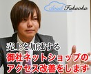 ネットショップのアクセス数伸び悩み改善いたします 月商500万以上実績ありのECコンサルタントが丁寧にチェック イメージ1