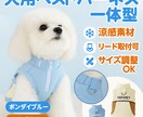 楽天・Amazon等、品質重視の商品画像制作します 「売上を動かす、設計された美しさ。」 イメージ6