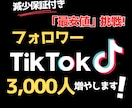 TikTokフォロワー3000人増やします 最初の5名まで業界最安値に挑戦！ イメージ1