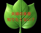 質問5つ❣️不倫、浮気、夫婦をタロット鑑定します 大好評❤️質問5つ❤️＋鑑定後の質問１つ❤️を徹底網羅！ イメージ3