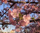 悩みを全て受け止めます 貴方の悩みをお聞かせください（人間関係・恋愛など） イメージ1