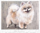 愛犬を手描きでオーダーメイドの肖像画にします 大切な思い出を、暮らしの中に飾る一枚に。 イメージ5