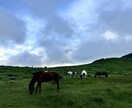 あなたの旅、月1旅行人の大学生旅人が組み立てます お客様に合わせた最適で特別な旅をプランニング！ イメージ2