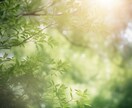 当たりすぎて怖い！と評判！本当のあなたを見抜きます 約2000文字大ボリューム占い/あなたや大切な方を見抜きます イメージ2