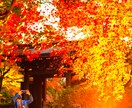 関係が終わりそうな彼を縁結び「天」でご縁を結びます 片思い、復縁、複雑な関係を強力縁結びで強く繋ぎます イメージ2