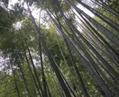 あなたの声を聞きたい。受け止めます 生きる意味とか居場所を見つけます！ イメージ4