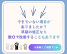 子犬期のしつけを4ヵ月齢まで継続サポートします 行動専門獣医師によるオーダーメイドのしつけ相談室です。 イメージ6