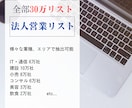 全国30万件対応！【即納】法人営業リスト販売します 【1件＝1円】法人データ業種・都道府県別に抽出可能！ イメージ1