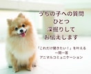 うちの子への質問１つを深掘りして答えをお伝えします これだけ聞きたい！を叶える一問一答アニマルコミュニケーション イメージ1