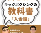 オンラインでキックボクシングお教えします 自宅でこっそり強くなる！アナタだけのオリジナルカリキュラム！ イメージ3