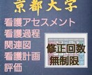 どこにもない看護過程を提供します 【高品質】専門看護師、元准教授が看護過程のサポートサービス イメージ1