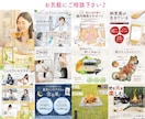 構成から可！伝わる選ばれるEC商品画像を制作します Amazon楽天等｜実績160件以上｜EC売上UPに貢献｜ イメージ9