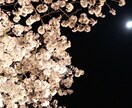 目標達成に必要なスキルを見つけることが出来ます 経験豊富な元保育士が個性に合った達成方法でコーチングします イメージ3