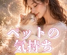 ペットの気持ち 大切な家族のこと霊視します ペット 家族 虹の橋を渡った子からのメッセージもお届けします イメージ1