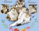 リアル調全身でペット/動物をイラストにします イラスト完成までのメイキング動画もプレゼント！ イメージ3
