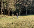 小さいお子さん向けのご相談承ります リアルな子育て経験お伝えします イメージ1