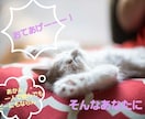 心の支援の専門家があなたに寄り添います 悩んじゃったら話せばいい！一緒に気持ちの整理整頓しましょう！ イメージ1