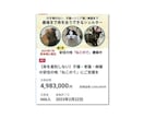 今だけ価格！クラファンLPページ作成します クラファンコンサルタント監修！キャッチコピー&画像付き イメージ4