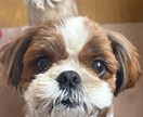人混みが苦手な方　人の感情に敏感な方を守ります ネガティヴな人やエネルギーから身を守る方法を伝授します イメージ2