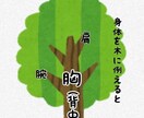 筋トレしたいけど悩んでる方にオススメします 軽い気持ちで筋トレを始めませんか イメージ2