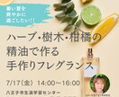 Canvaでインスタ画像制作&投稿まで承ります インスタフィード•ストーリーズ画像制作だけでなく投稿も! イメージ3