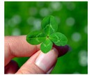 ６０日以内あなたの転機を鑑定します 幸せへの第一歩を踏み出しませんか？ イメージ1