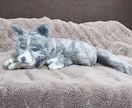 写真から羊毛フェルト犬を制作します 練習価格でお作りします（モニター） イメージ5