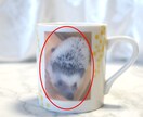 うちの子写真でオーダーメイドマグカップを制作します 大切な家族であるペットの可愛いオリジナルマグカップ イメージ5