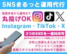 Instagram・X・TikTok運用代行します 専属SNS運用マーケチームが投稿作成＆効果的な集客をサポート イメージ2