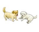 愛犬の似顔絵イラストを描きます ☺︎ SNSのアイコンや個人用オリジナルグッズにも◎ イメージ4