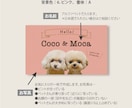 多頭ペット写真名刺｜犬猫うちの子で名刺制作します スマホ撮影OK! 色と書体が選べるセミオーダー100枚送料込 イメージ2