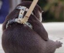 誰かに話したい愚痴やお悩みをお聞きします 気持ちを楽にしたい方、モヤモヤしている方ぜひお聞かせください イメージ5