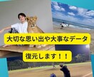 SDカードやUSBなどの大切なデータを復元します 【データ復旧率が30%未満の場合は返金いたします】 イメージ1