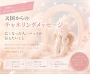 即日鑑定|天国からのメッセージお伝えします 言葉を超えた魂の対話。二人の絆を再確認する場所 イメージ1