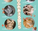 猫カフェの猫紹介、部活の選手紹介など作成します Canvaで作成！ご意向に沿った画像を作成します！ イメージ1
