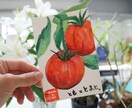 食材イラスト描きます 飲食店メニュー用や挿絵にどうぞ。はがきサイズ4枚セット！ イメージ3