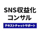 あなたの収益化をマンツーマンで徹底サポートします 【アカウント設計ご購入者様限定】テキストチャットサポート イメージ1