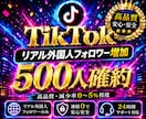 TikTokリアル外国人フォロワーを増加します 圧倒的高品質【本物】減少率0〜5%程度！外国人500人増加！ イメージ1