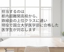 鉄緑会トップクラスだった医学部生が詳しく解説します スポット家庭教師現役国立大医学生が鉄緑会の解法を伝授します イメージ1