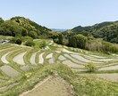 プライベートビジネス問わず国内旅行プラン提案します 【20代　ホテル営業女子が勧める　旅プラン】 イメージ2