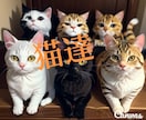 夜間でもお話し出来ます 沢山の人の前では話すのが　苦手な方私と話してみませんか イメージ1