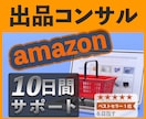 Amazonのプロが10日間Easyコンサルします 販売/コンサル歴14年の実績！アマゾン販売はお任せください！ イメージ1