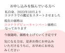 ホロスコープで本当のあなたを占います あなたの「性格」や「才能」＋お悩みを1つ鑑定します イメージ9