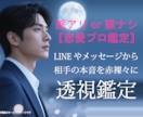 脈アリor脈ナシ【恋愛プロ鑑定】本音サインを視ます 透神眼｜LINEやメッセージから相手の本音を赤裸々に透視鑑定 イメージ1