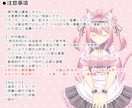 全工程！フルオーダーでLive2Dモデル制作します 安心の一括制作！こだわりのモデルでVtuberデビュー★ イメージ9