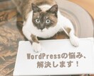 あなたのWordPress(個人)を診断します WordPressで販売実績がないあなたへ(個人サイト) イメージ2